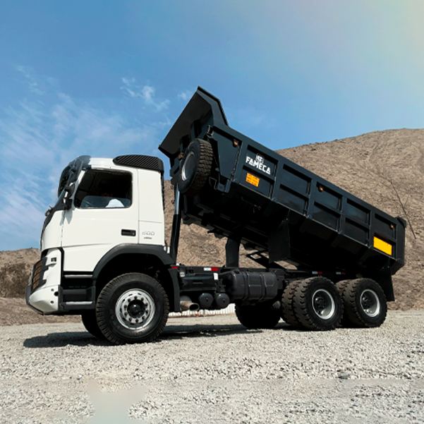 Camiones Automotores 267